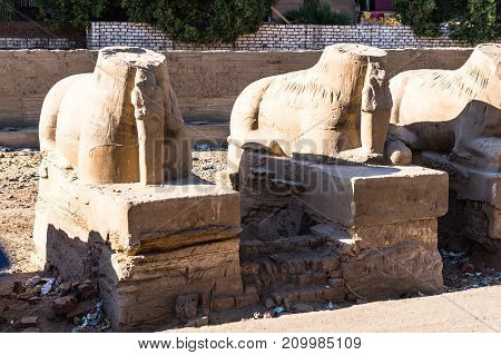 Luxor, Egypt