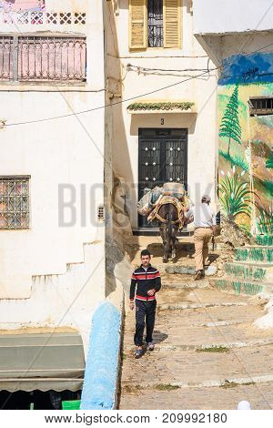 Architecture Of Moulay Idriss, Morocco