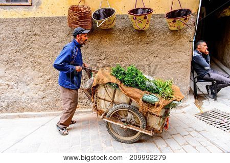 Architecture Of Fez, Morocco