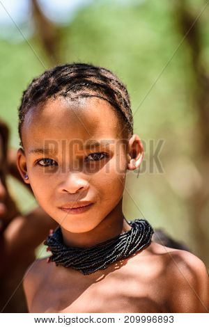 Bushman People In Namibia