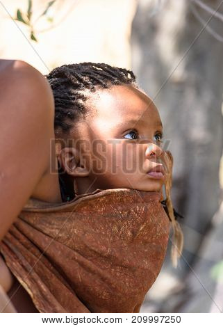 Bushman People In Namibia