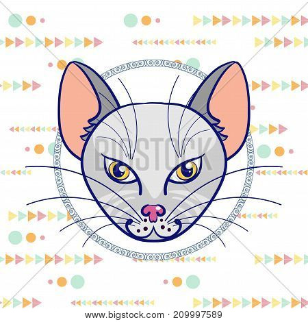 Hand drawing a portrait of a gray cat in a circle on a white background with a pattern of multi-colored triangles and circles. Vector illustration