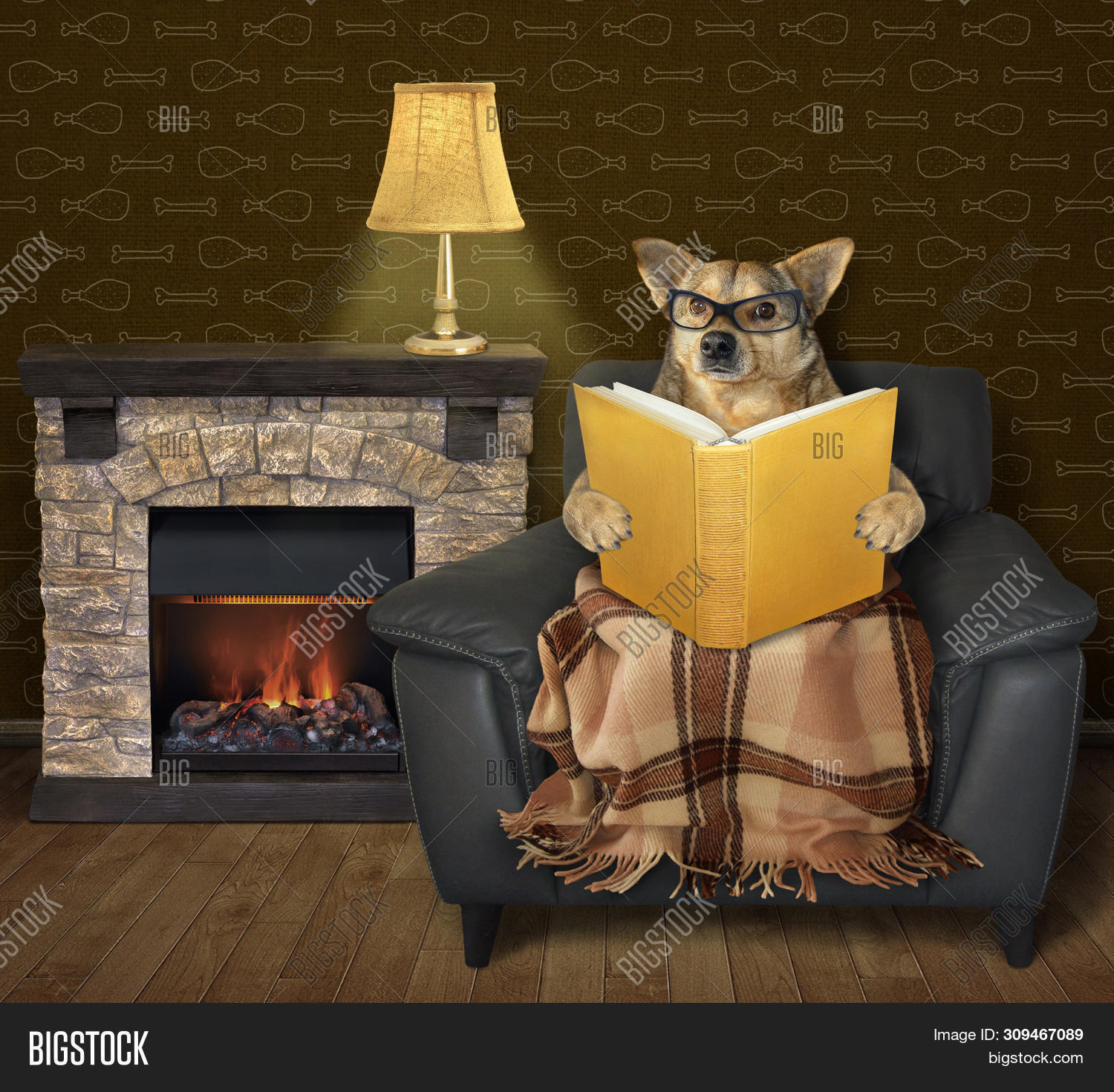 Dog Glasses Reading Image & Photo (Free Trial) Bigstock