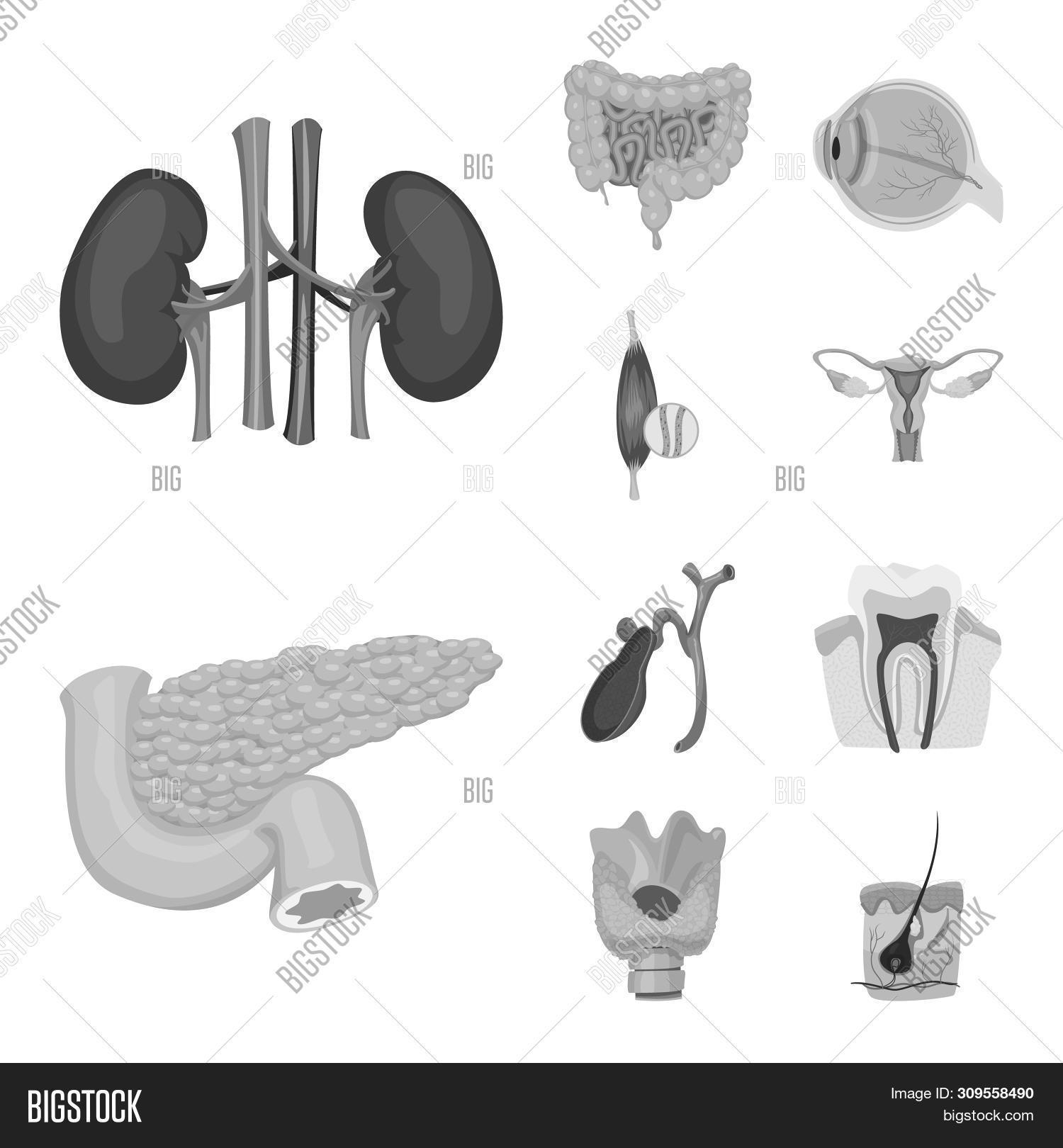 Human Bitmap Bitmap Design Body Image & Photo (Free Trial) | Bigstock