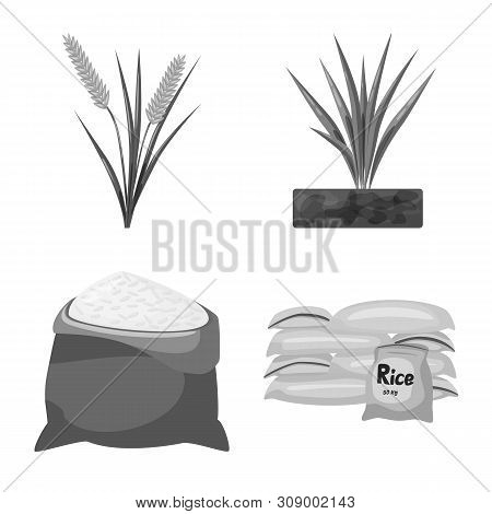 Vector Illustration Of Food And Organic Icon. Set Of Food And Agricultural Stock Vector Illustration