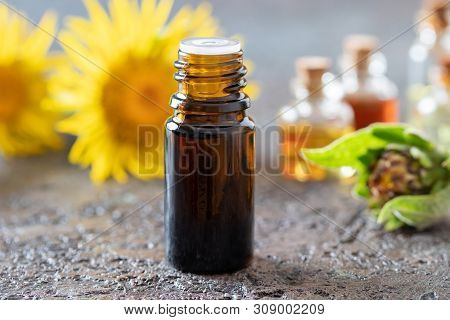 A Dark Bottle Of Elecampane Essential Oil With Fresh Inula Helenium Flowers In The Background
