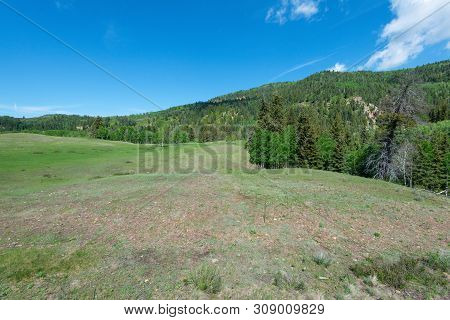 High Mountain Vista