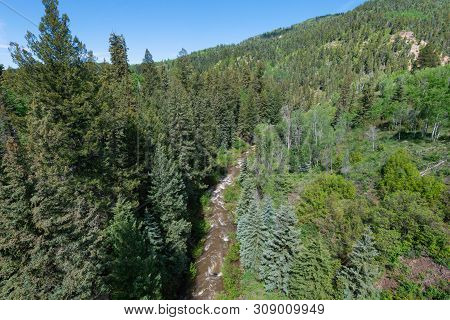 Rushing Mountain Stream