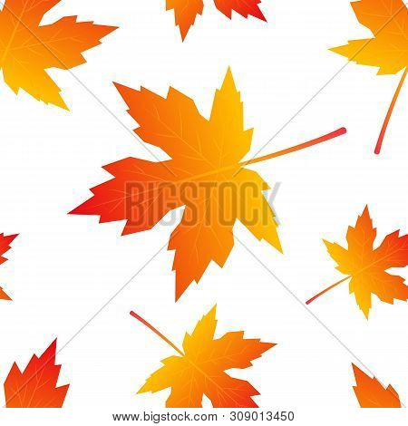 Seamless Pattern With Colorful Maple Leaves In Flat Style. Vector Illustration On White Background