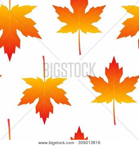 Seamless Pattern With Colorful Maple Leaves In Flat Style. Vector Illustration On White Background