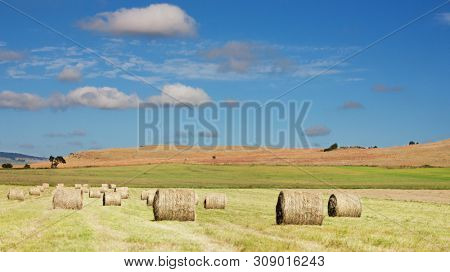 landscape hayfield with hay rolls, against a cloudy blue sky.