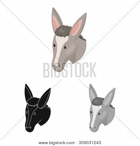 Vector Design Of Goose And Face Logo. Set Of Goose And Bird Stock Vector Illustration.