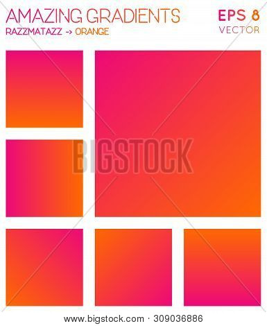 Colorful Gradients In Razzmatazz, Orange Color Tones. Admirable Background, Positive Vector Illustra