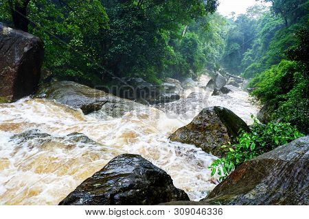 Water Flood On River After Heavy Rain Rapids Water Flow Copiously From Mountain Stream In The Forest
