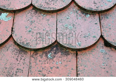 Close-up Of Roof Covered With Beaver Tail Tiles Grown With Moss And Lichens