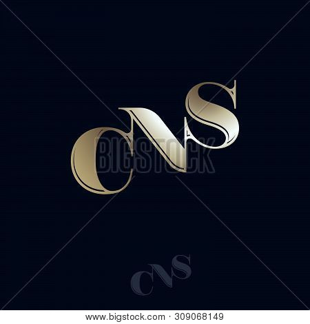 C, N, S  Golden Monogram. C, N And S Combined Letters Logo. Typography Composition.