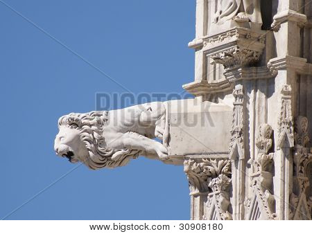 Lyon Gargoyle