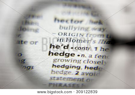 The Word Or Phrase Hed In A Dictionary