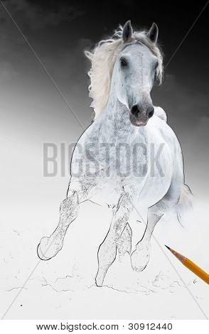 runs white horse get living from arts scetch