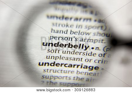 The Word Or Phrase Underbelly In A Dictionary
