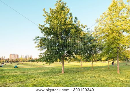 Santiago, Region Metropolitana, Chile - November 19, 2018: People Enjoying A Summer Evening In Parqu