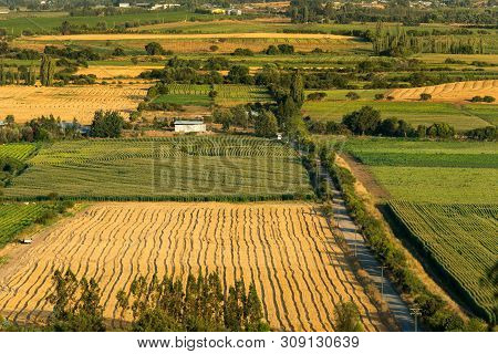 Crop Fields And Farms At Region Del Maule In Southern Chile