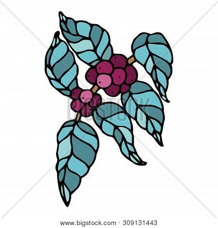 Fair Trade Products, Coffee Beans In Particular, In Doodle Style With A Stroke. Icon For Games And A