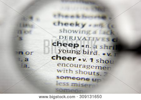 The Word Or Phrase Cheep In A Dictionary
