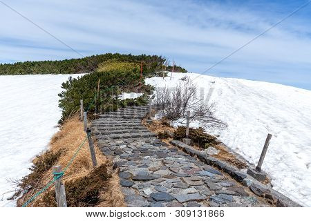 Nature Trail At Murodo On Tateyama Kurobe Alpine Route.