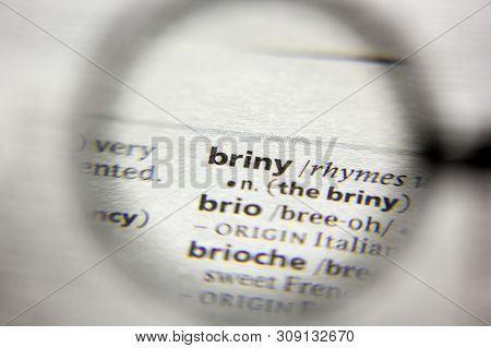 The Word Or Phrase Briny In A Dictionary