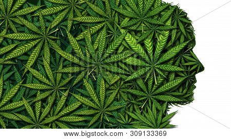 Cannabis And Weed Or Marijuana Brain As A Head Symbol Concept As A Face Made Of Leaves As A Pot Or H