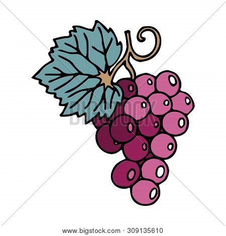 Fair Trade Products, Bunch Of Grapes In Particular, In Doodle Style With A Stroke. Icon For Games An