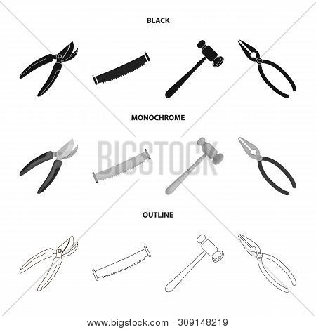 Isolated Object Of Tool And Construction Sign. Set Of Tool And Carpentry Vector Icon For Stock.