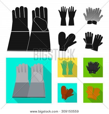 Vector Design Of Glove And Winter Symbol. Collection Of Glove And Equipment Stock Vector Illustratio