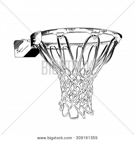Vector Engraved Style Illustration For Posters, Decoration And Print. Hand Drawn Sketch Of Basketbal
