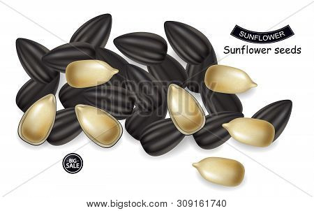 Sunflower Seeds Vector Realistic. Darkl Background. 3d Illustrations