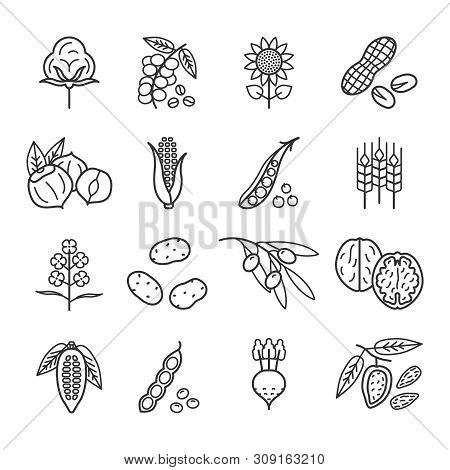 Agricultural Commodities Of Vegetable Origin Linear Icons Set
