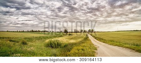 Panoramic Summer Landscape With Gravel Road. Panevezys District, Lithuania