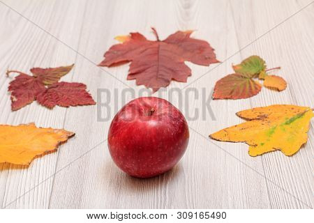 Apple And Dry Leaves On Wooden Boards. An Autumn Still Llife.