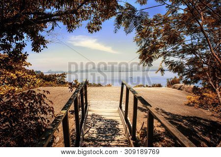 Bridge With Trees In Autumn With The Sea In The Background