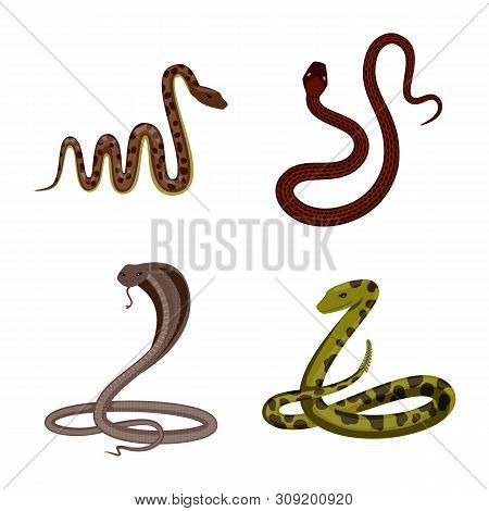 Vector Design Of Poison And Evil Sign. Set Of Poison And Bite Stock Vector Illustration.