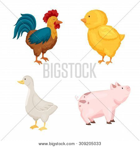 Isolated Object Of Farm And Food Icon. Collection Of Farm And Countryside Stock Vector Illustration.