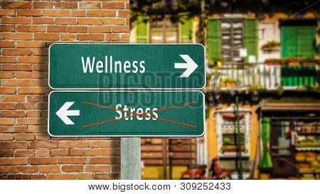 Street Sign The Direction Way To Wellness Versus Stress