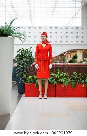 RUSSIA, MOSCOW: 28 JUNE 2019. Beautiful stewardess dressed in official red uniform of Aeroflot Airlines on airport