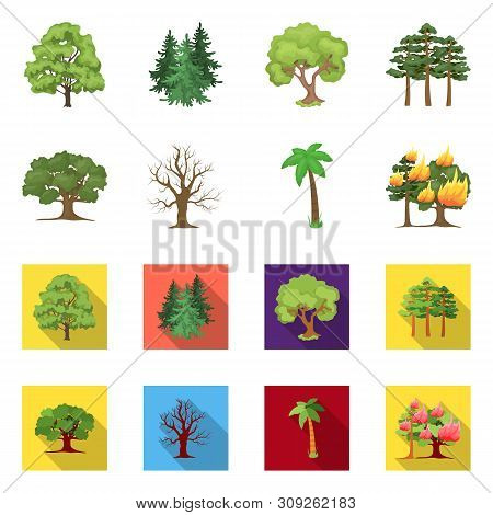 Vector Design Of Tree And Forest Icon. Set Of Tree And Green Vector Icon For Stock.