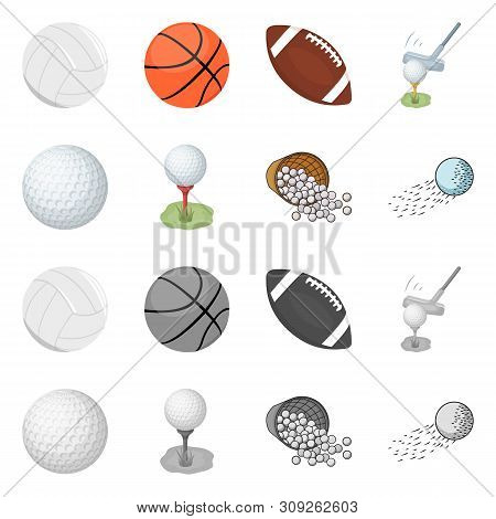 Vector Design Of Ball And Soccer Logo. Set Of Ball And Basketball Vector Icon For Stock.