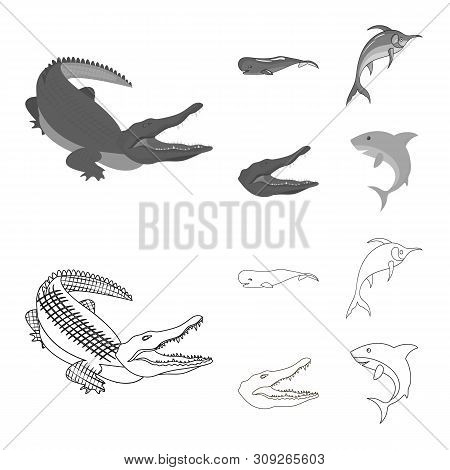 Vector Design Of Sea And Ocean Sign. Collection Of Sea And Reptiles Vector Icon For Stock.