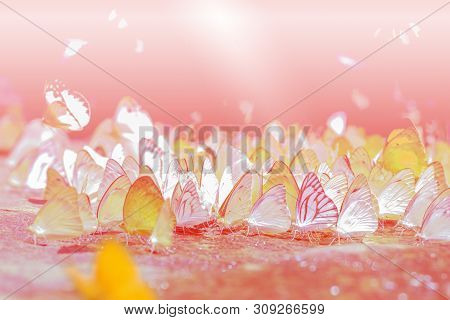 Selective Focus Group Of Common Grass Yellow Butterflies Puddling On Ground In The Nature Background