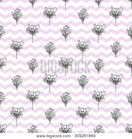 Semless Pattern With Hand Drawn Sketch Of Cute Lavender Flower Isolated On White Background. France 