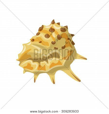 Vector Design Of Seashell And Mollusk Icon. Set Of Seashell And Seafood Vector Icon For Stock.